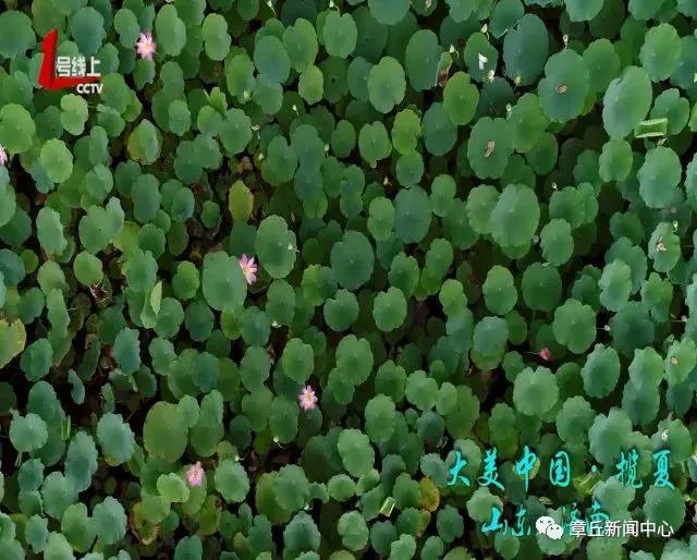 微信图片_20180616165440.jpg
