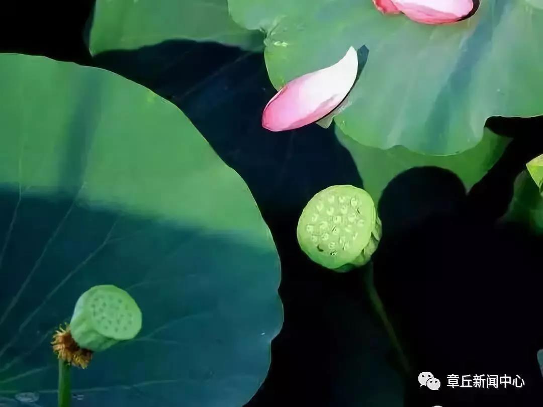 微信图片_20180616165445.jpg