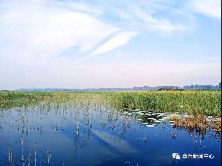 微信图片_20180616165519.jpg