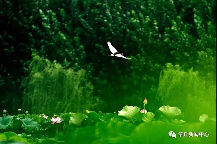 微信图片_20180616165513.jpg