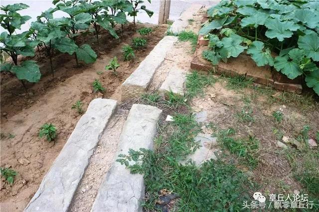 微信图片_20180618095116.jpg