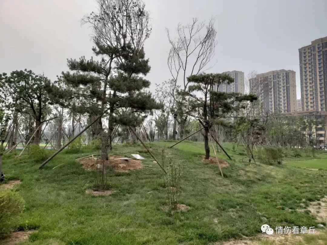 微信图片_20180620143513.jpg
