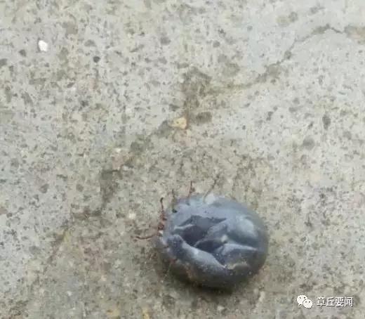 微信图片_20180622134317.jpg