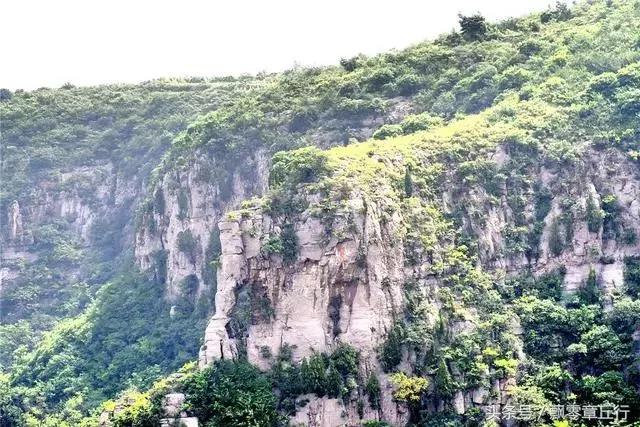 微信图片_20180623170148.jpg