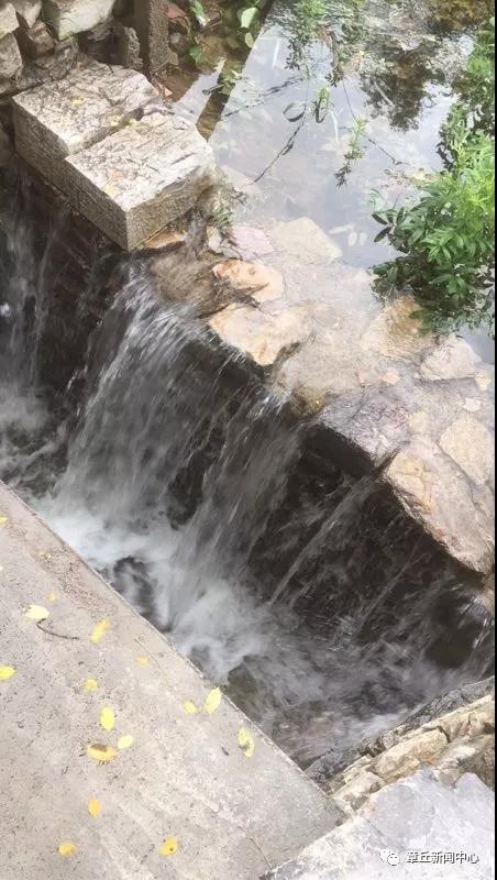 微信图片_20180627150702.jpg