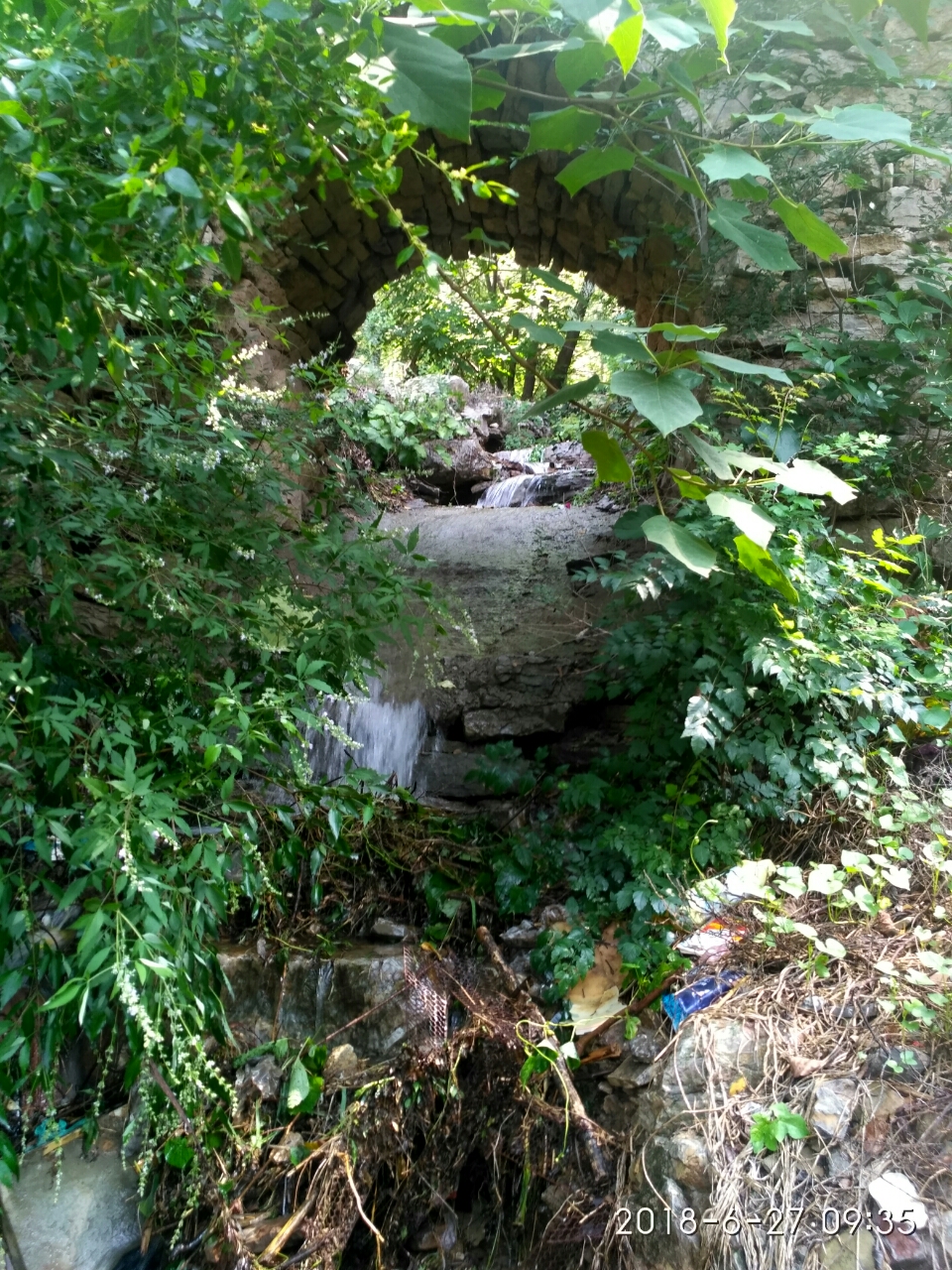 20180628_309_1530148663194.jpg
