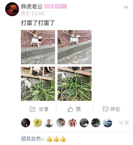 49_副本.jpg