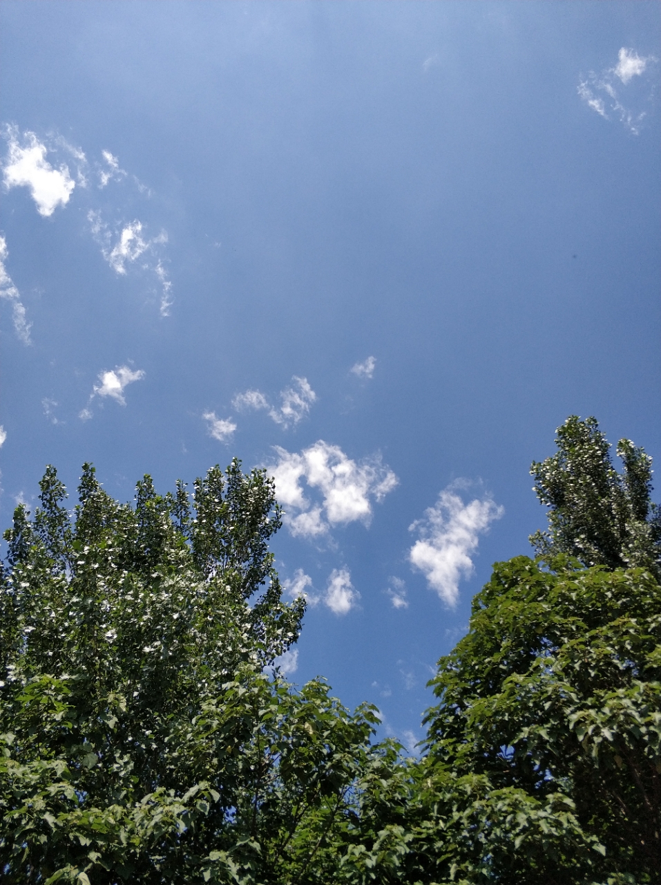 20180628_58963_1530151897536.jpg
