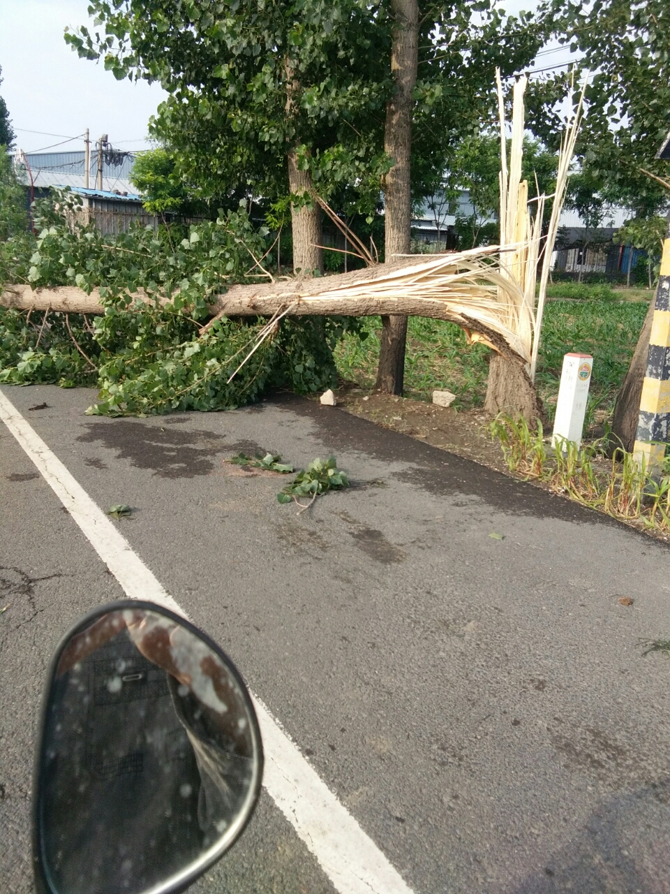20180628_20542_1530177677915.jpg