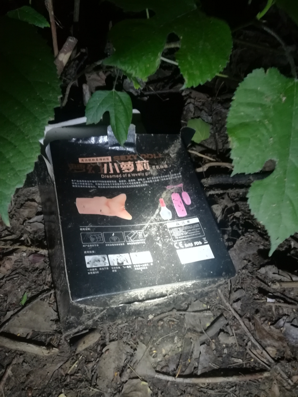20180630_7452_1530321274797.jpg