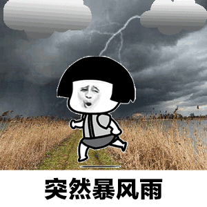 12.gif