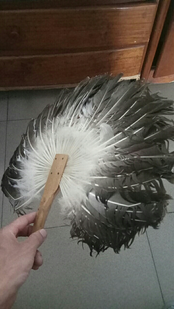 20180702_19669_1530526564249.jpg