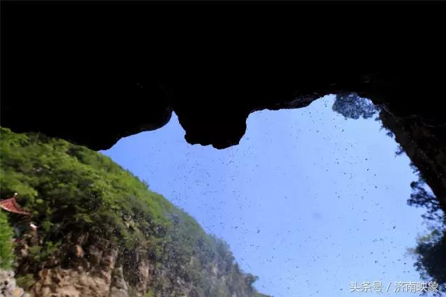 微信图片_20180706140247.jpg