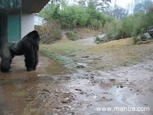 微信图片_20180707145659.gif