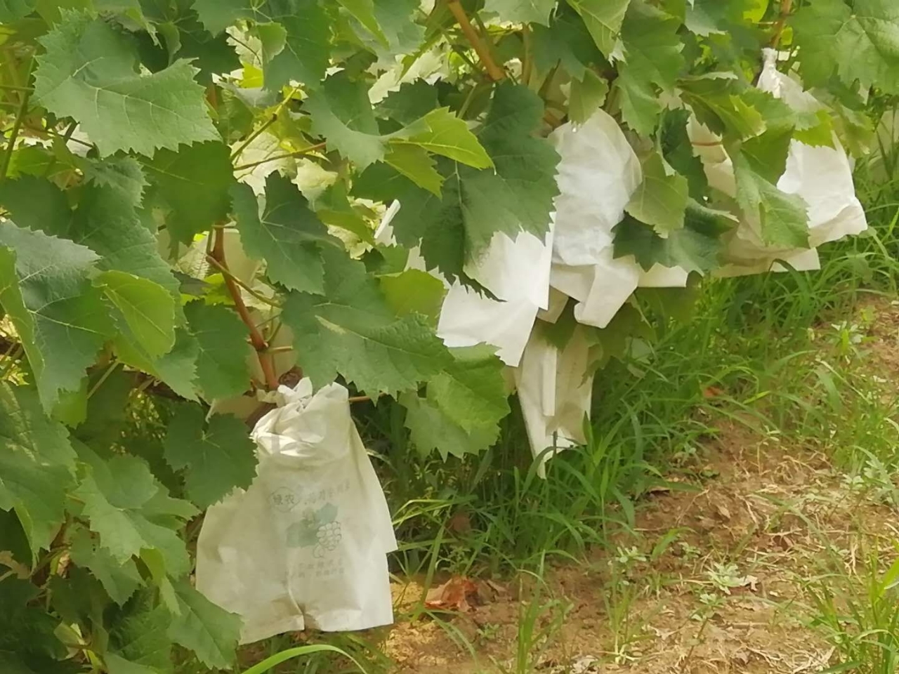 20180709_2756_1531136219326.jpg