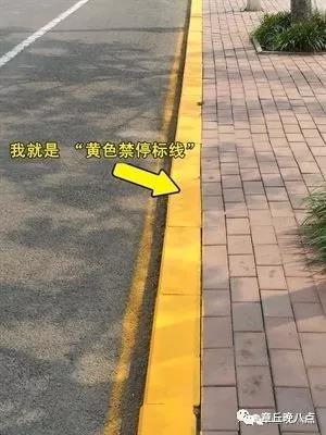微信图片_20180711095939.jpg