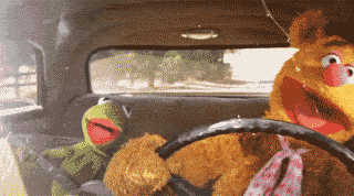 5.gif