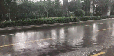 雨2.gif