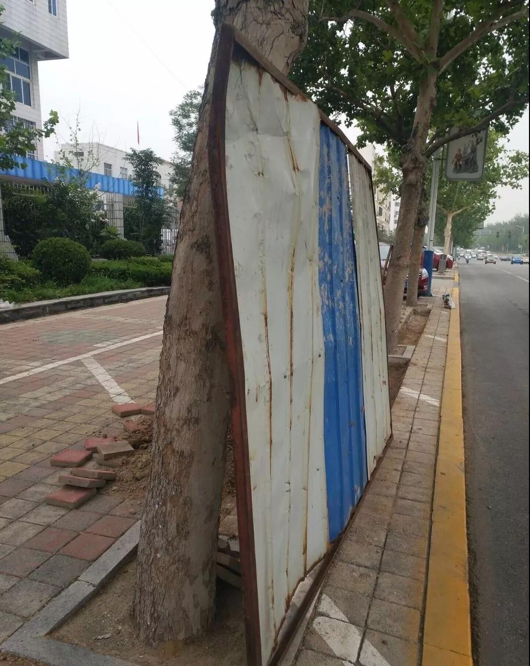 车7_看图王.jpg