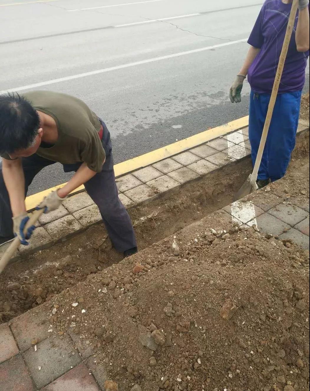 车8_看图王.jpg