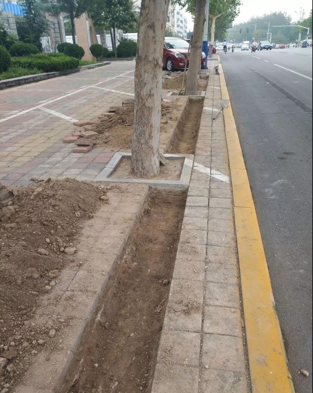 车9_看图王.jpg