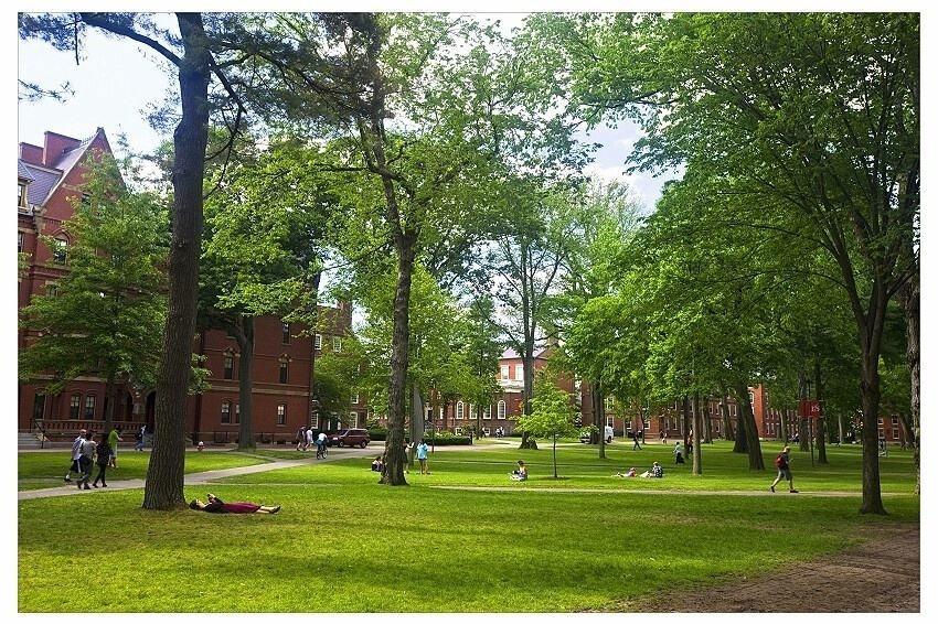 大学3.jpeg