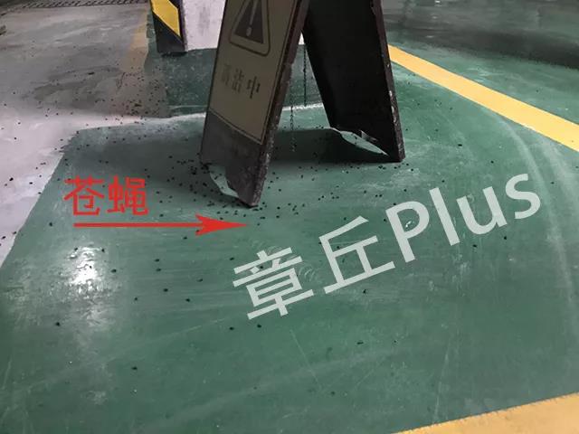 微信图片_20180718104342.jpg