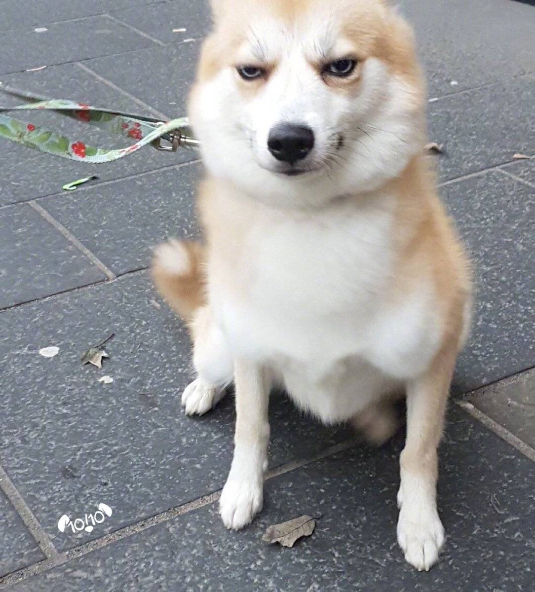 20180719_35423_1531984469525.jpg