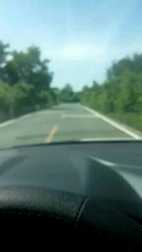 20180719_14237_1532012097536.jpg