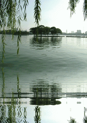 6.gif