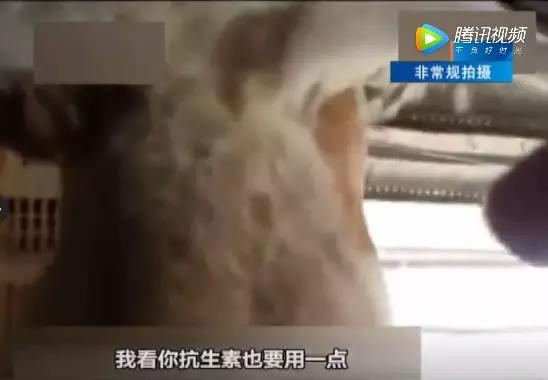 微信图片_20180725103757.jpg