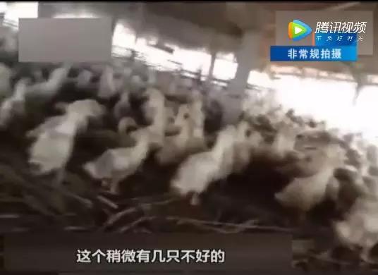 微信图片_20180725103801.jpg