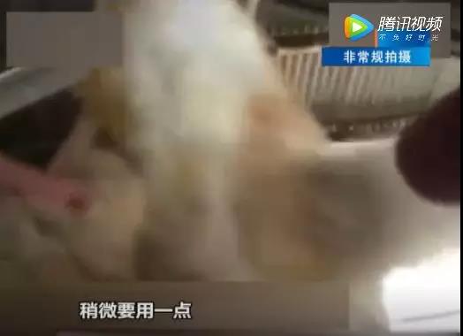 微信图片_20180725103759.jpg
