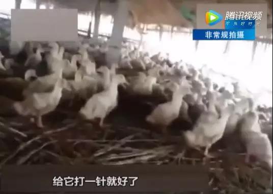 微信图片_20180725103804.jpg