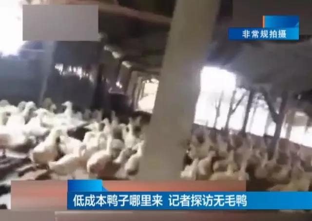 微信图片_20180725103754.jpg