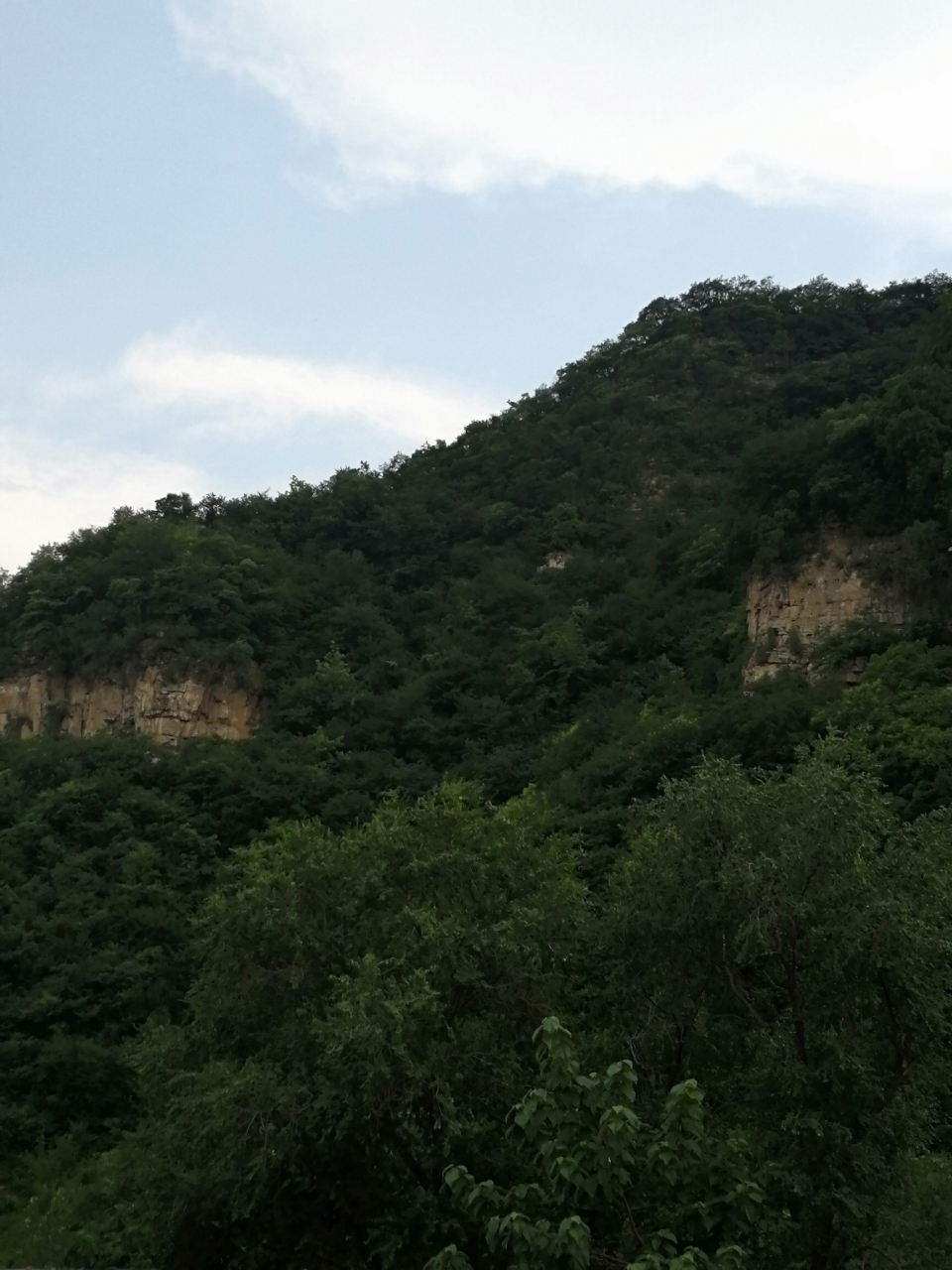 20180726_14388_1532591706965.jpg