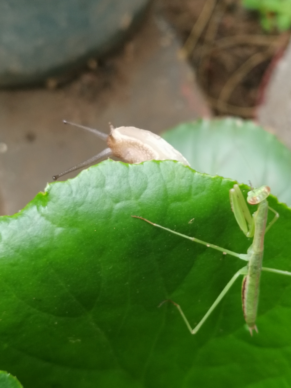 20180726_14388_1532591709223.jpg