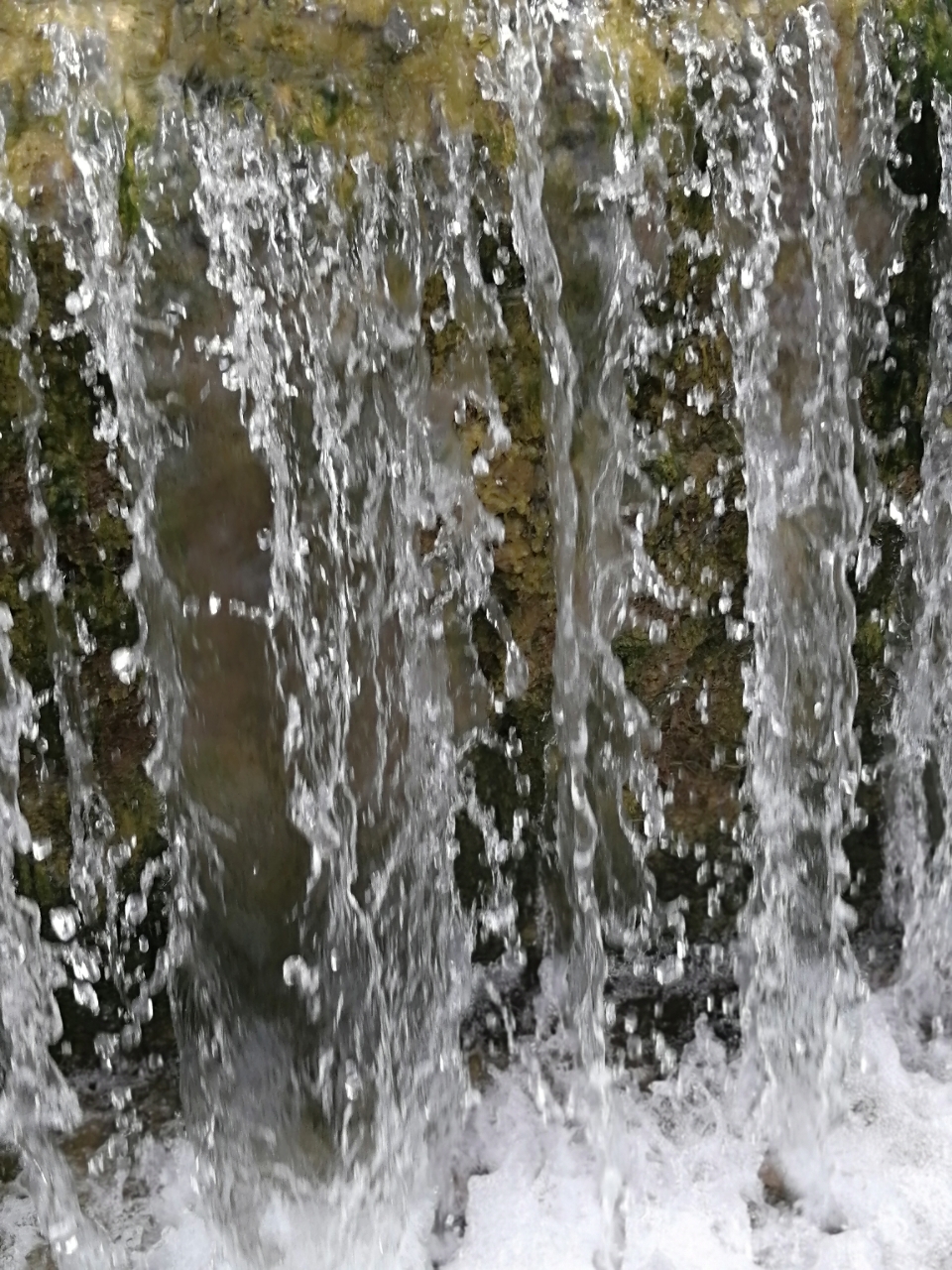 20180726_14388_1532591705438.jpg