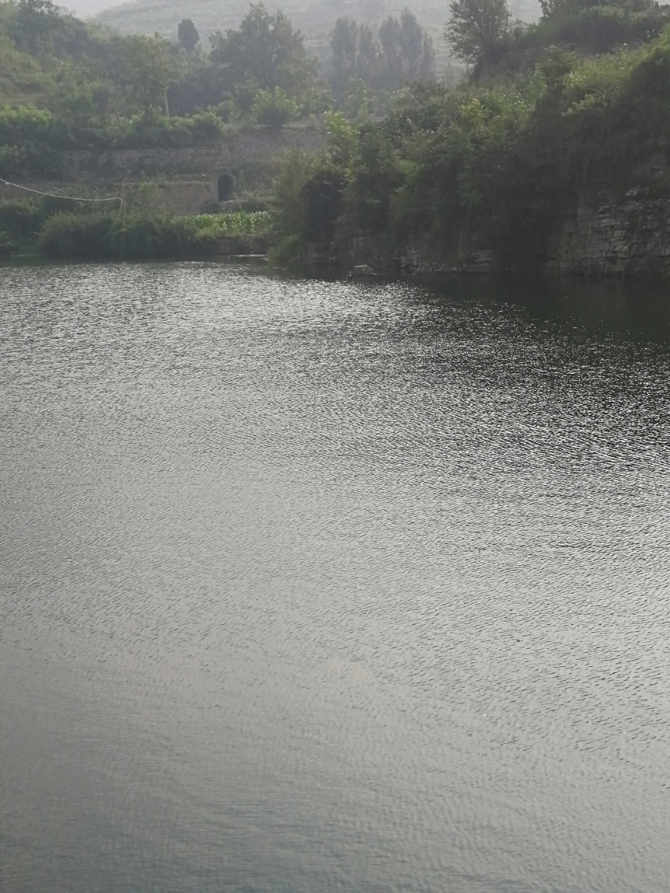 20180726_14388_1532591706351.jpg