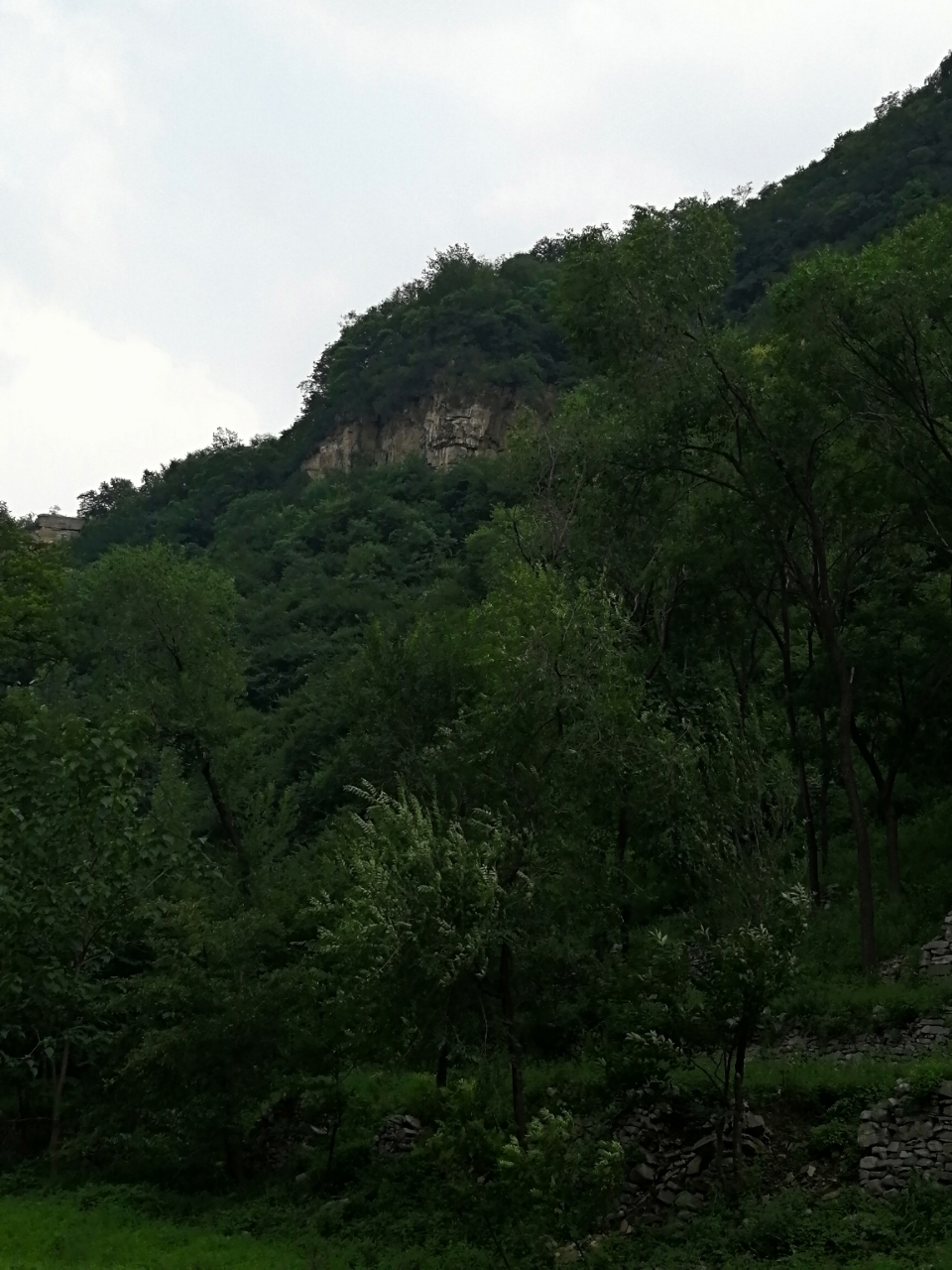 20180727_14388_1532671239591.jpg