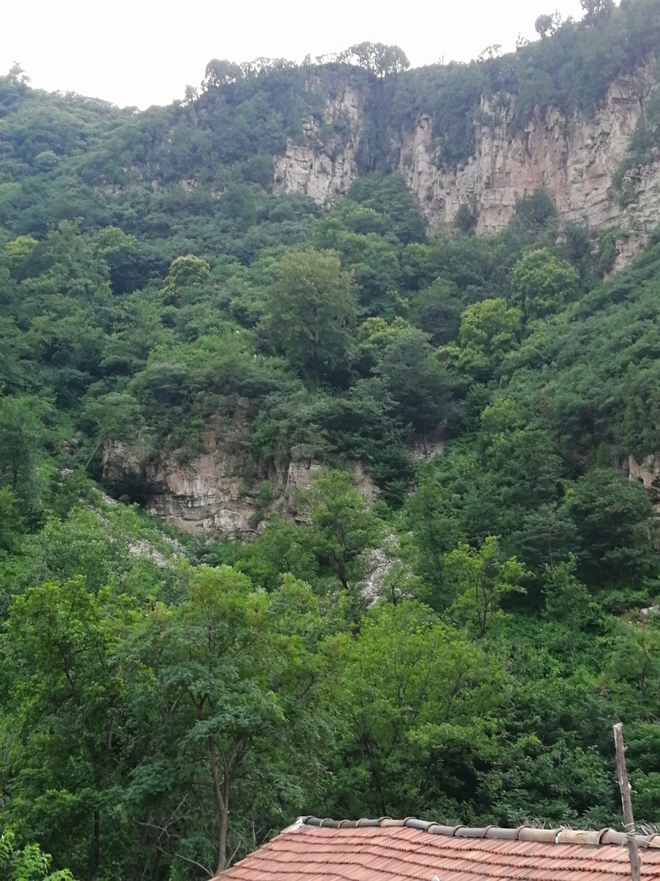 20180727_14388_1532671240421.jpg