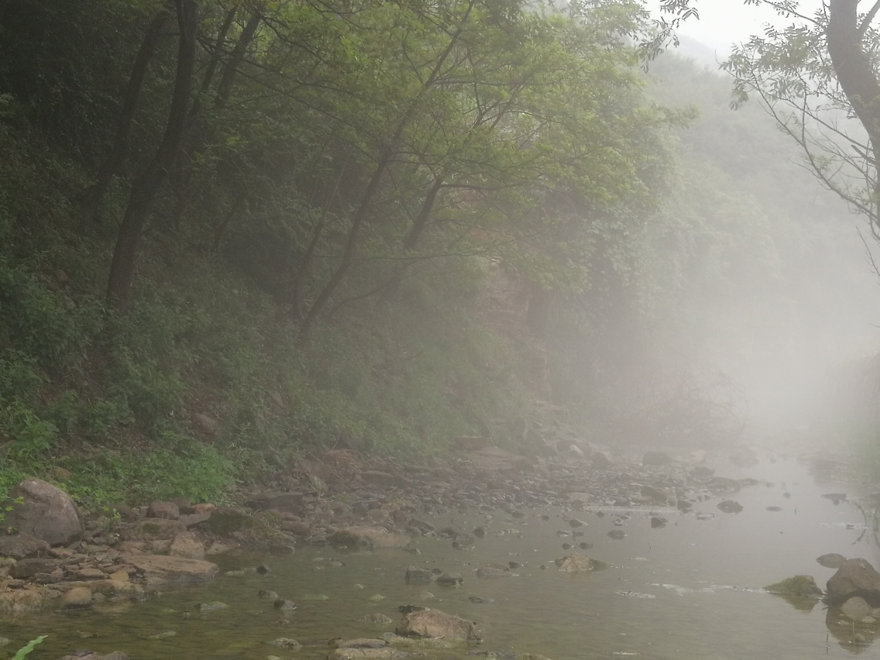 20180727_14388_1532671242076.jpg
