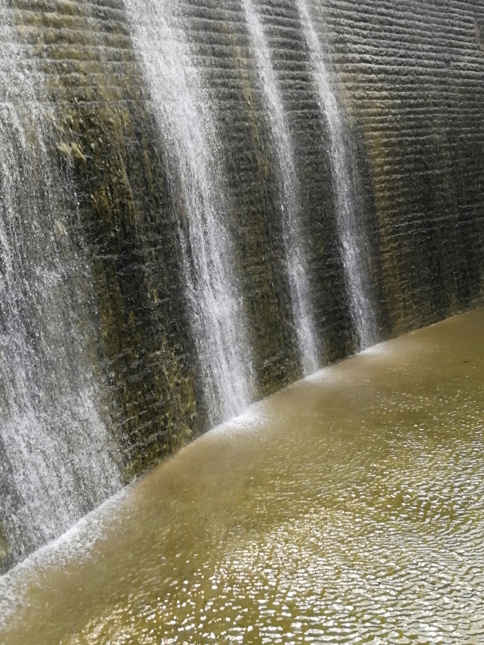 20180727_14388_1532671239964.jpg