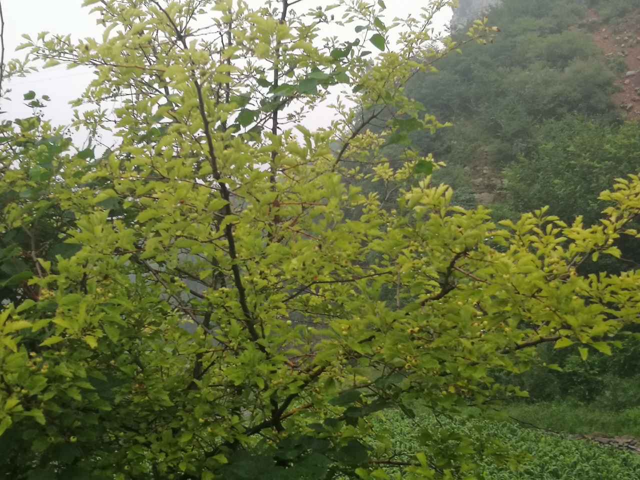 20180727_14388_1532671241667.jpg