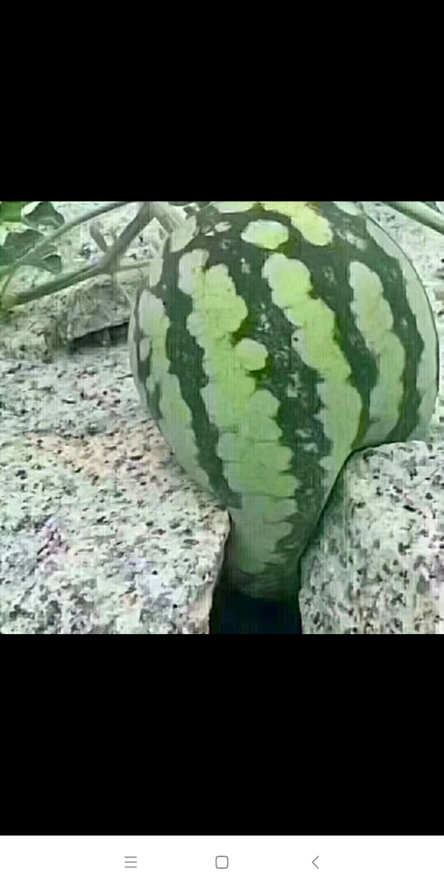 20180730_59193_1532909000196.png