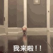 微信图片_20180730103809.gif