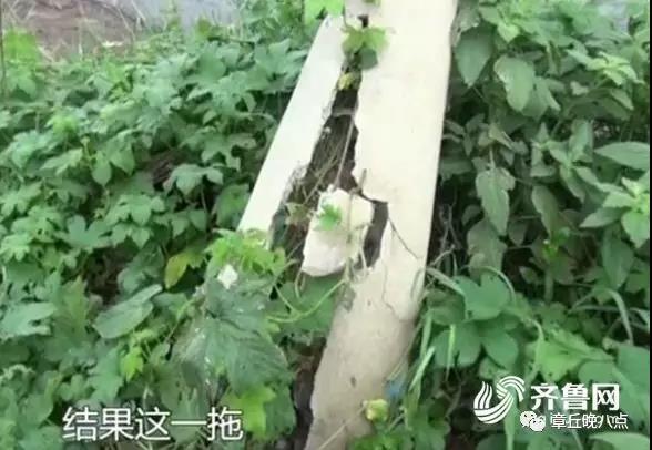 微信图片_20180730150623.jpg