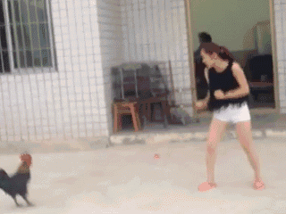 微信图片_20180731095123.gif