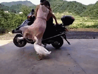 微信图片_20180731095131.gif
