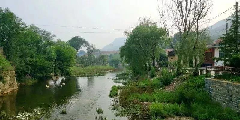 微信图片_20180731104555.jpg